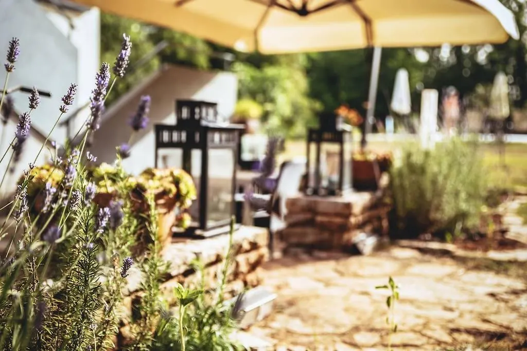 Luxury Villa Cetiri Hrasta Pićan Casa vacanze