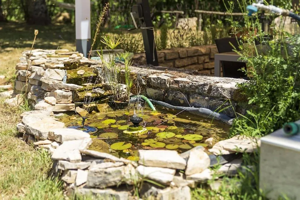 Casa vacanze Luxury Villa Cetiri Hrasta Pićan Croazia